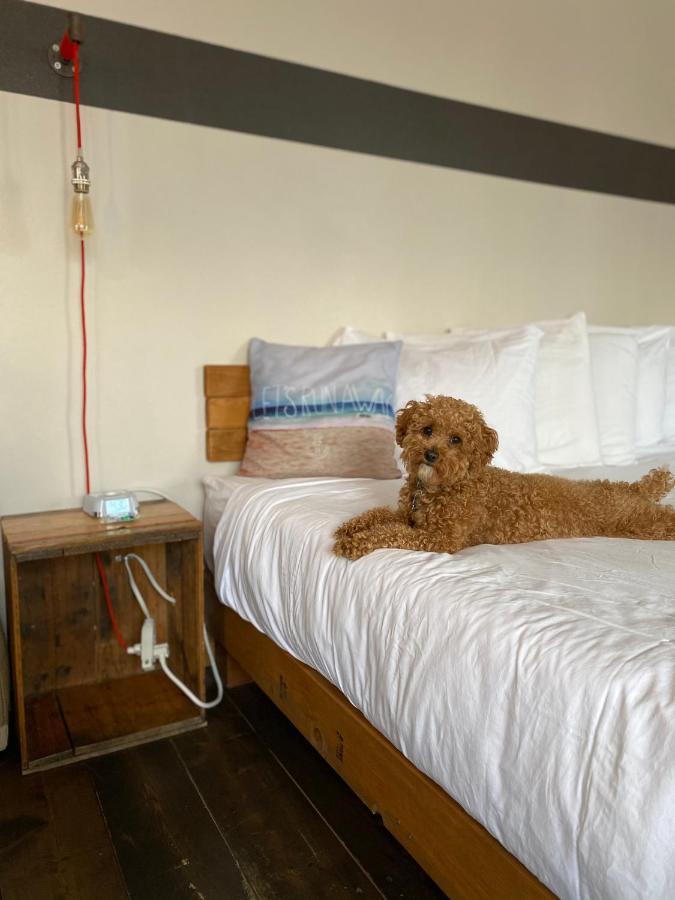 Ashore Hotel 3*