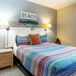 Sand & Sea: A Shore Thing