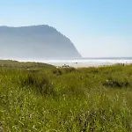 Sandpiper Cottage