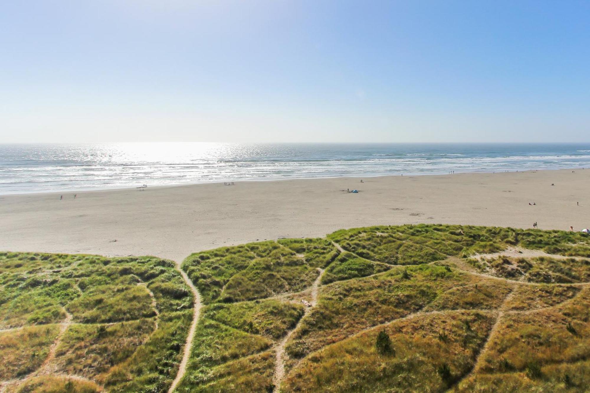 & Sea: The Driftwood Apartment