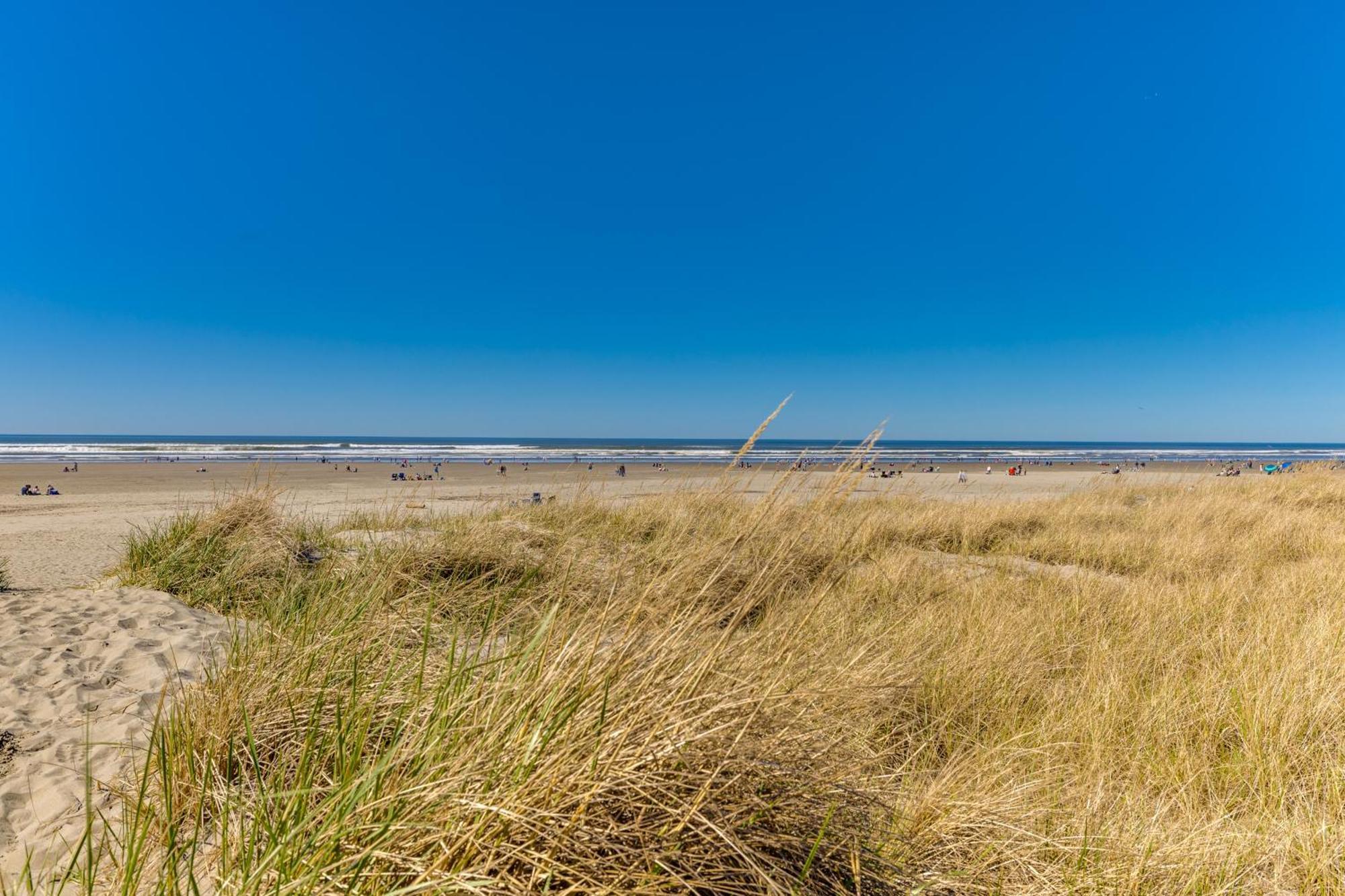 Sand & Sea: Marine Dream Seaside