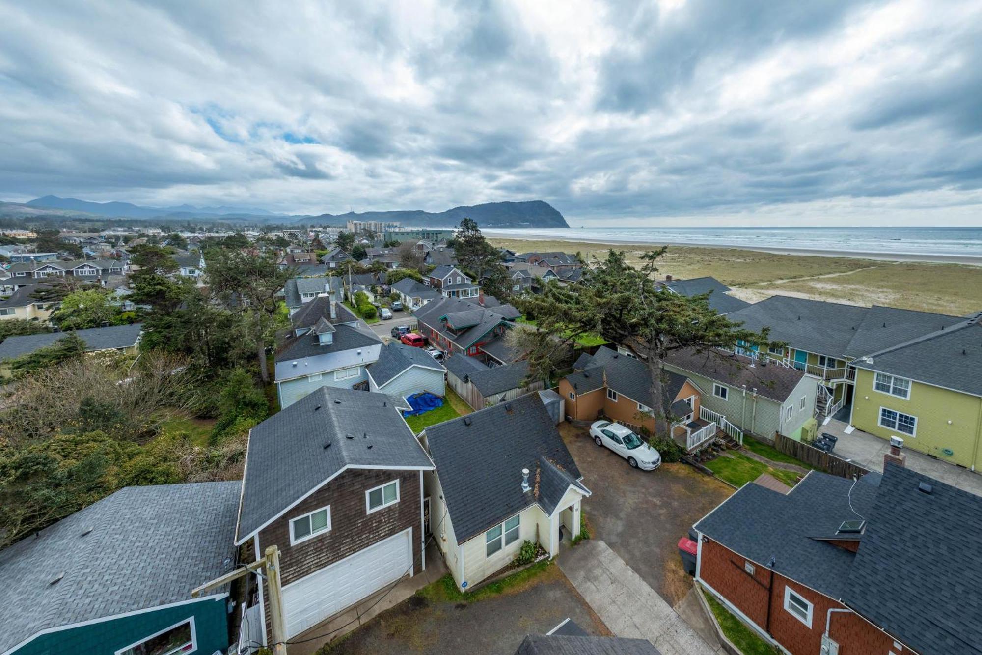 Sand Dollar Seaside