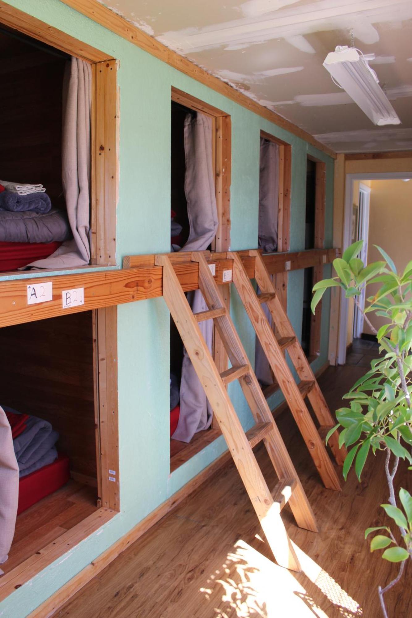 Hostel International *