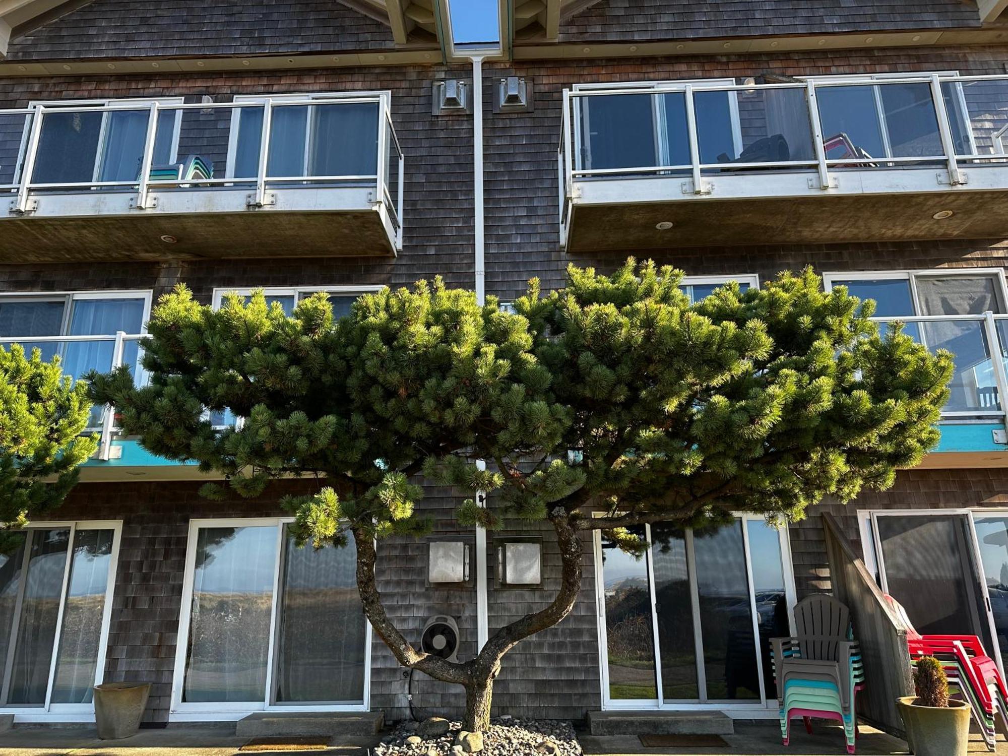 Inn At The Shore Seaside
