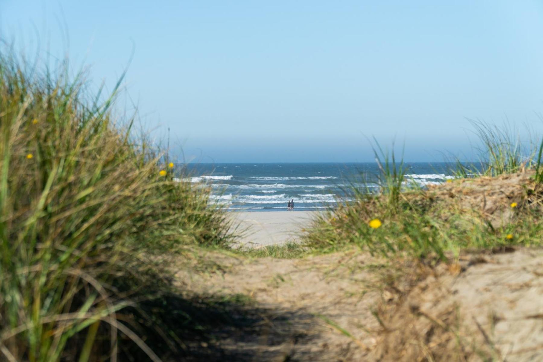 Sandpiper Holiday home *