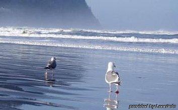 Sandy Cove *