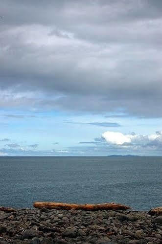 Sandy Cove