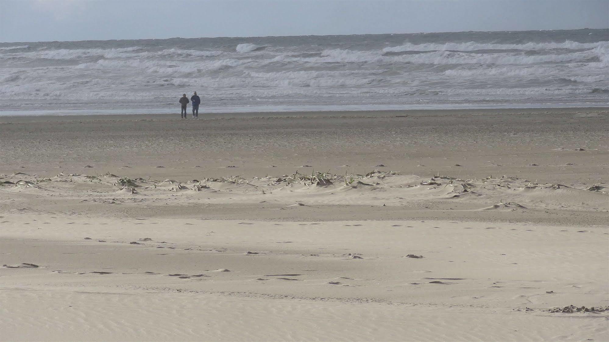 The Ocean Front At *