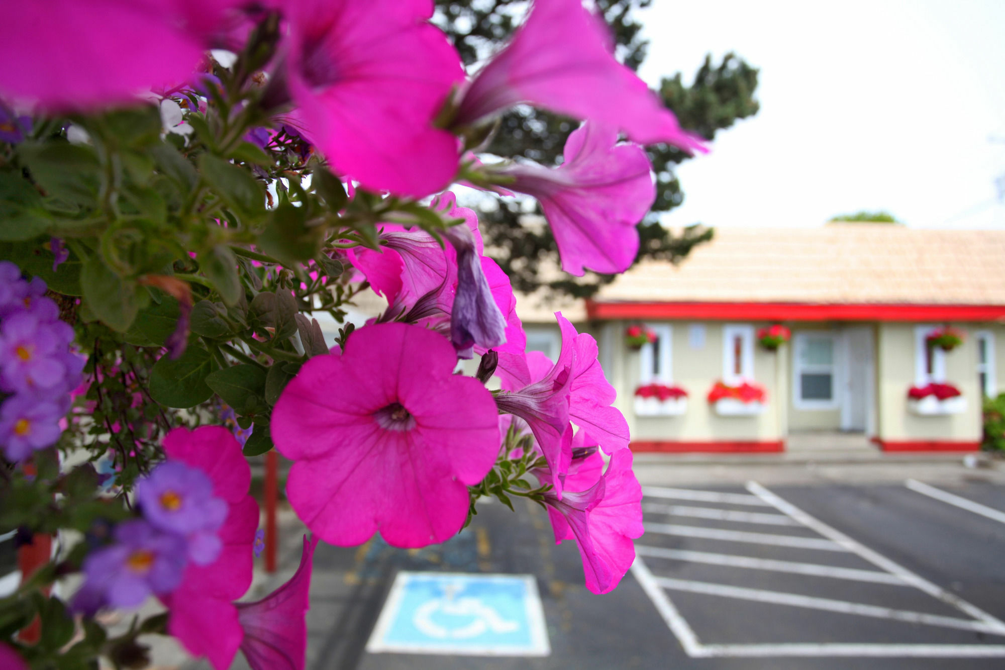 Hotel Centre By Oyo Seaside